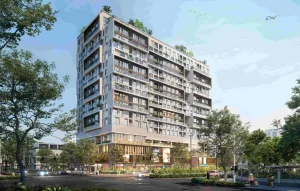 Tổng Quan Stella Icon